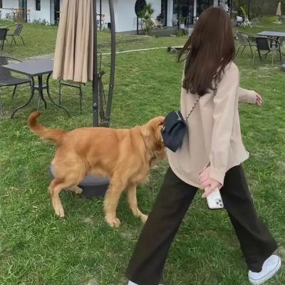 徽州女人